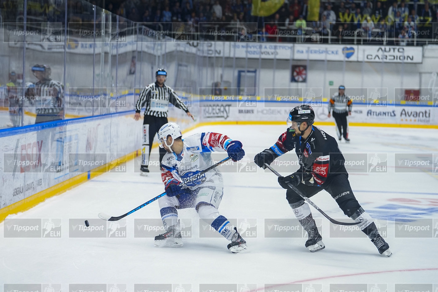 Foto: Vladimír Čižmár/HC Kometa Brno.