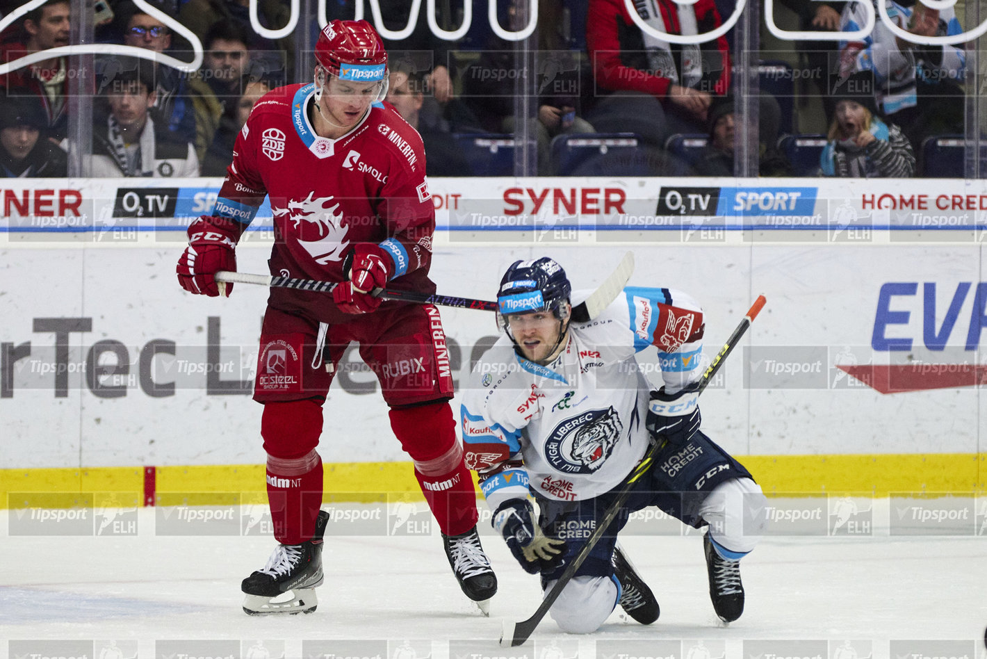 Hokej. Foto: Jiří Princ